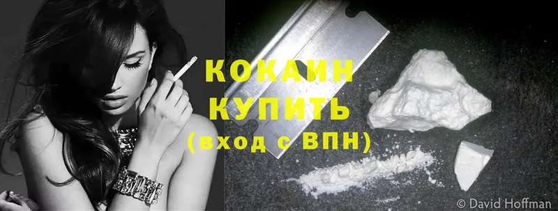 Кокаин Fish Scale  где купить   Ржев 